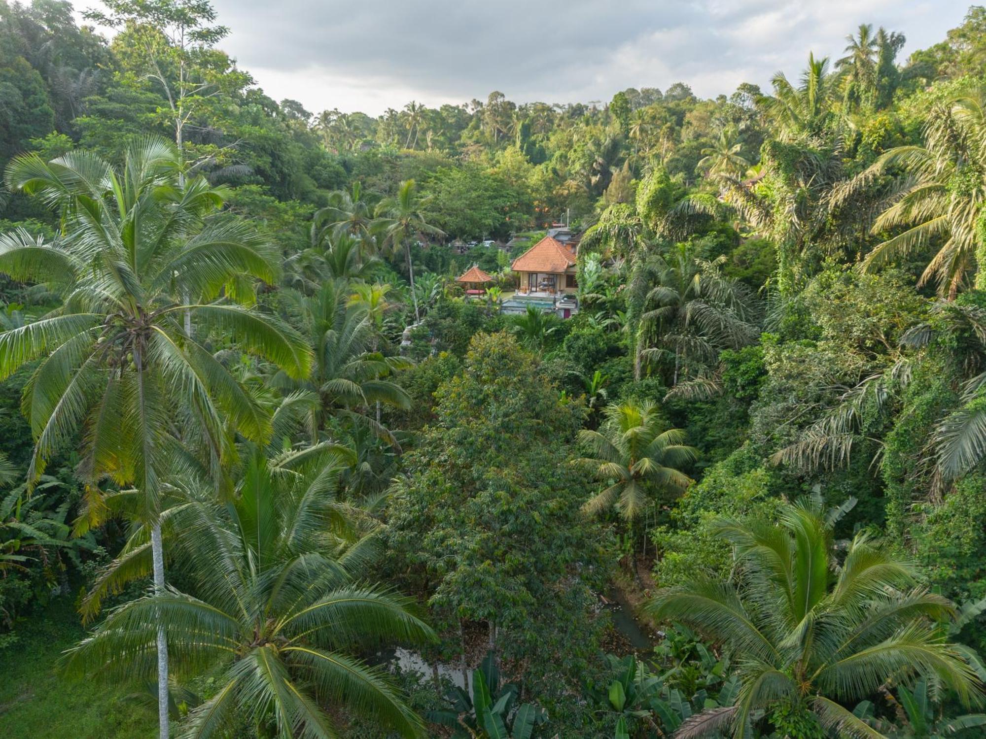 Gunung Kawi Villa Тегаллаланг Экстерьер фото