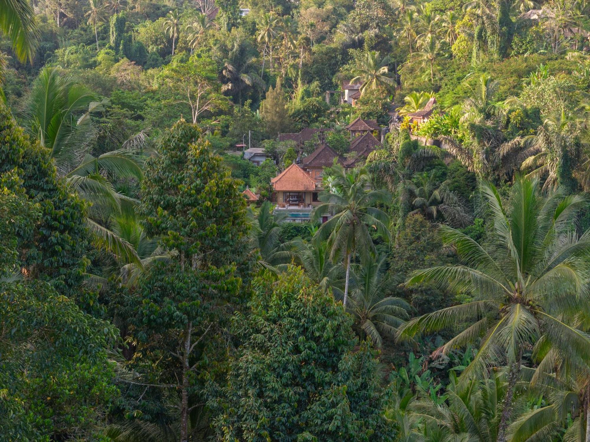 Gunung Kawi Villa Тегаллаланг Экстерьер фото