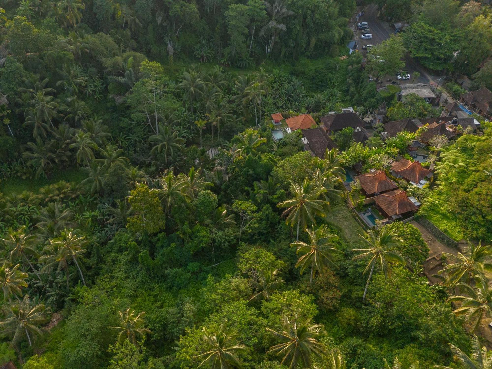 Gunung Kawi Villa Тегаллаланг Экстерьер фото