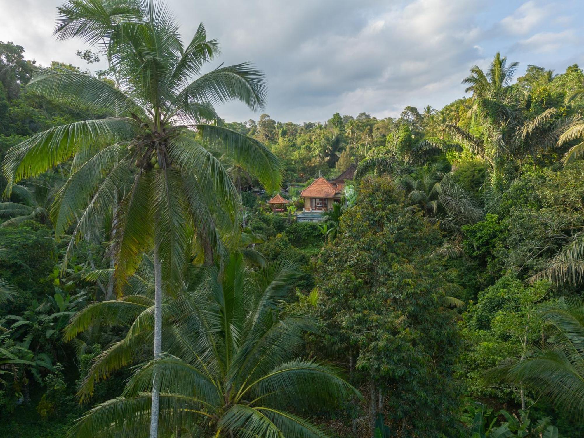Gunung Kawi Villa Тегаллаланг Экстерьер фото