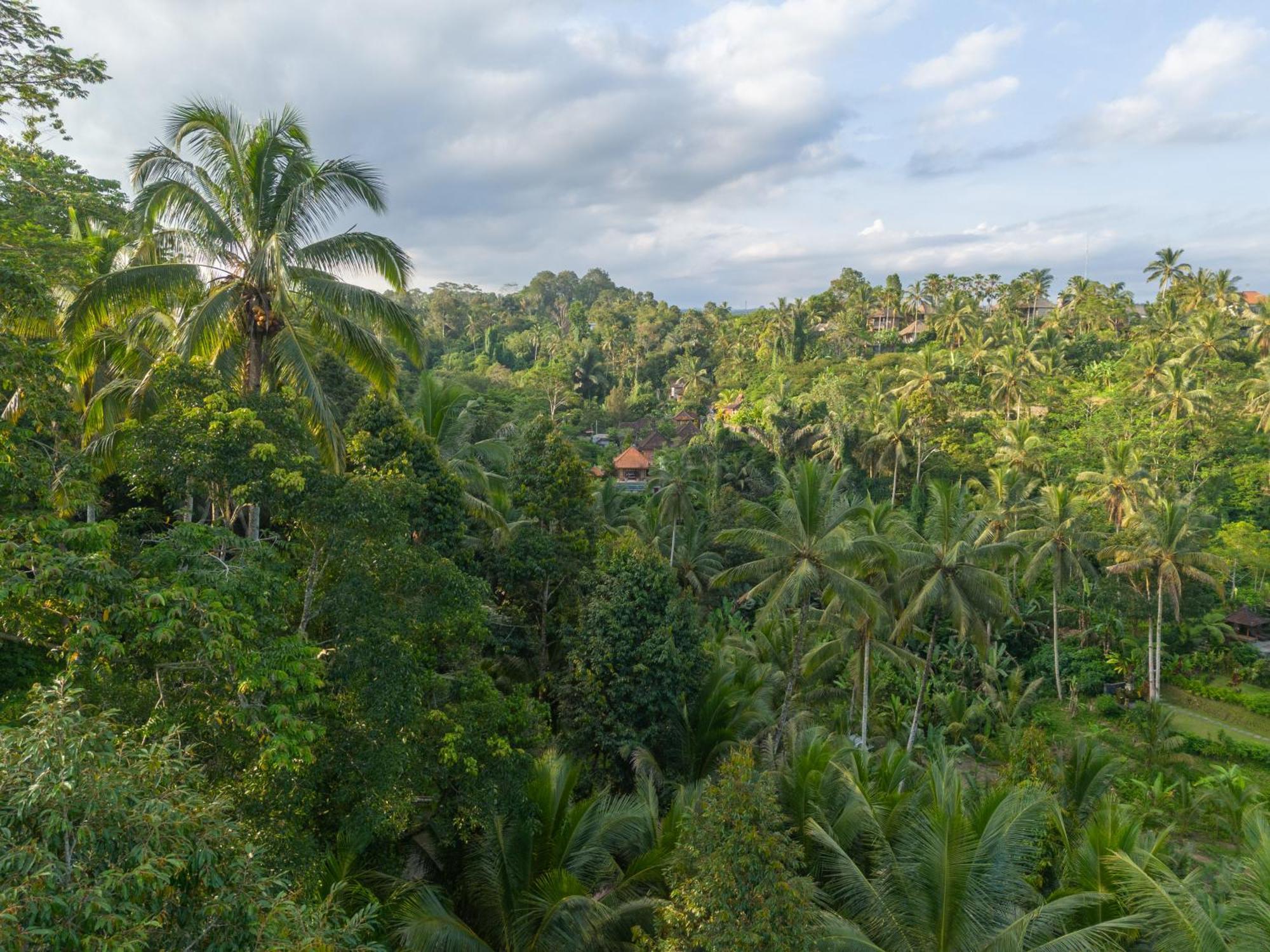 Gunung Kawi Villa Тегаллаланг Экстерьер фото