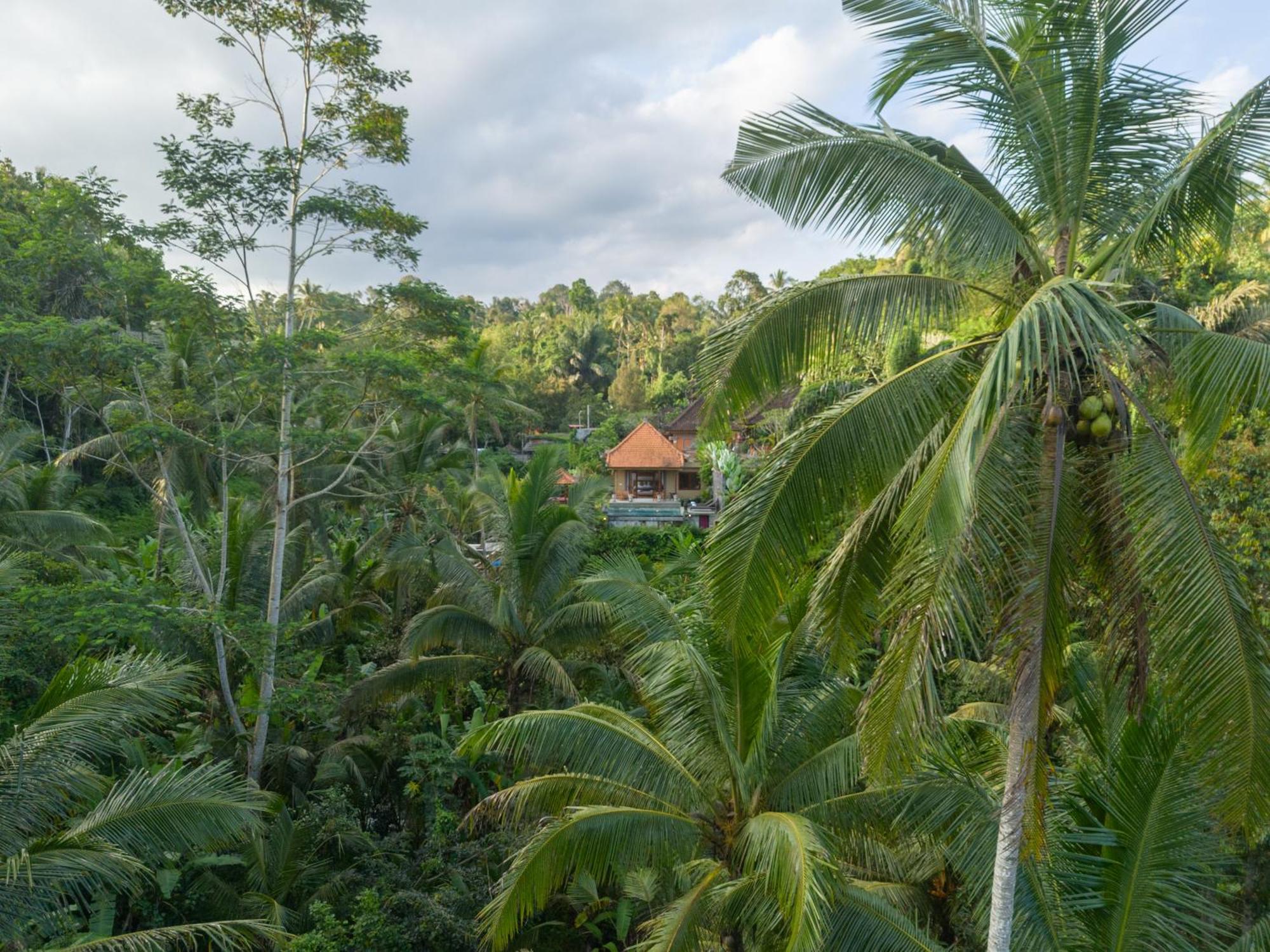Gunung Kawi Villa Тегаллаланг Экстерьер фото