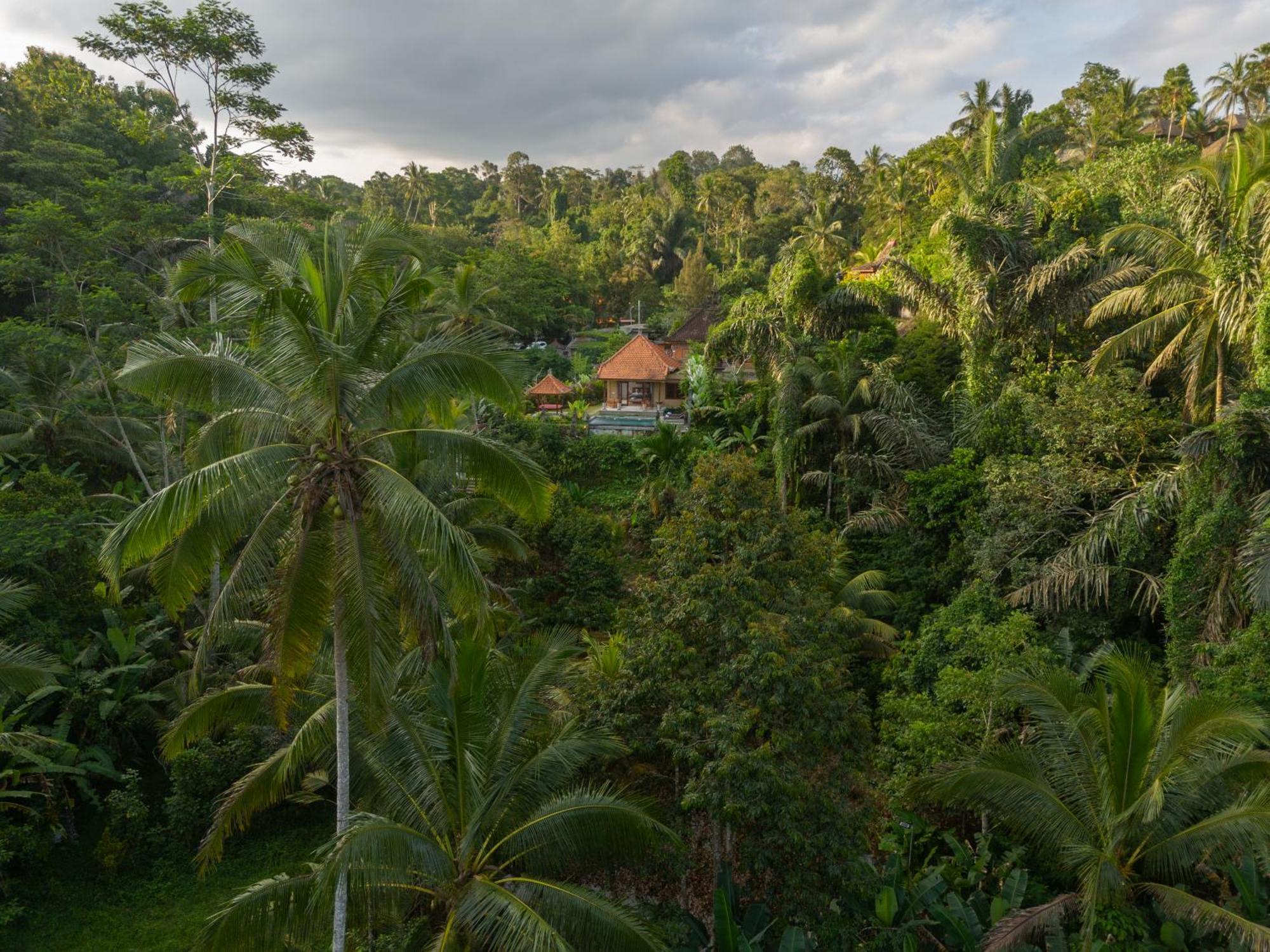 Gunung Kawi Villa Тегаллаланг Экстерьер фото
